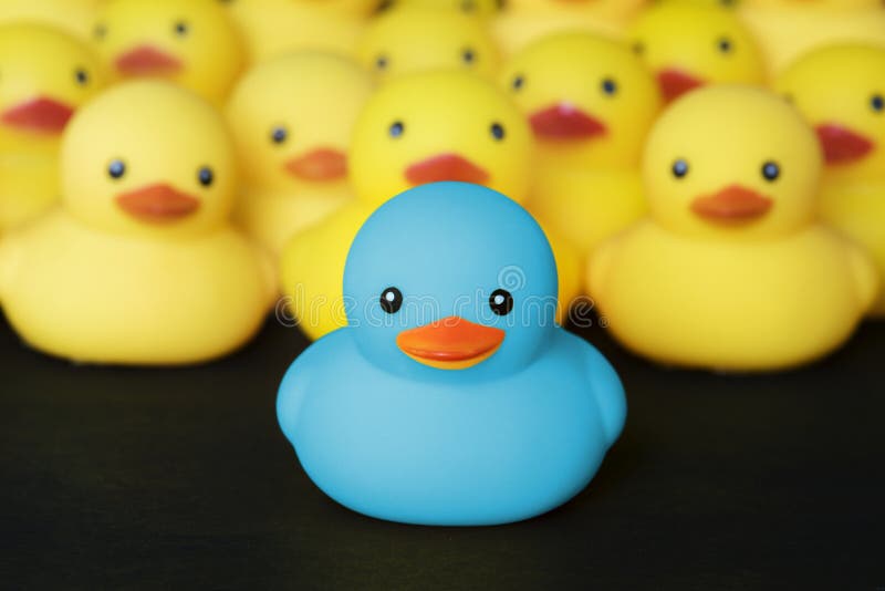 Closeup av rubber duckies royaltyfria bilder Closeup av rubber duckies royaltyfria bilder