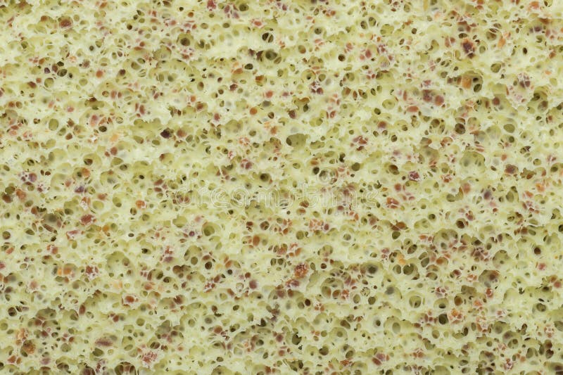 Closeup of Bath and Shower Sponge with Natural Plantbased Exfoliating