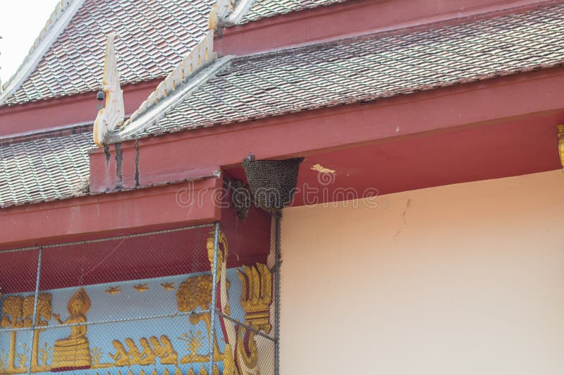 Beehive or honeycomb on temple eaves stock photos
