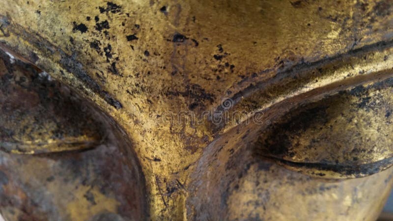 Detailní big buddha oko.