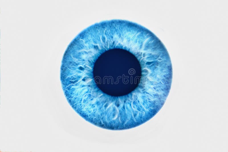 Closeup of Blue Eye on White Background Stock Photo Image of pupil