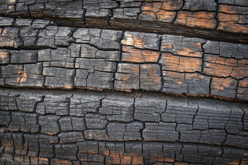 Closeup of Burnt Cracked Wood Texture Showing Charred Black Surface and Warm Brown Ash Tones for Backgrounds vector illustration