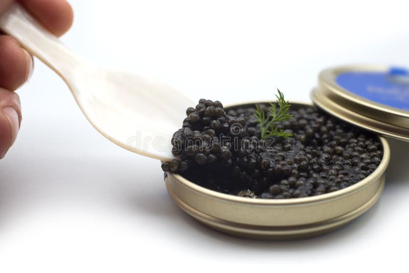 Caviar in a white nacre spoon with the metalllic box on white background