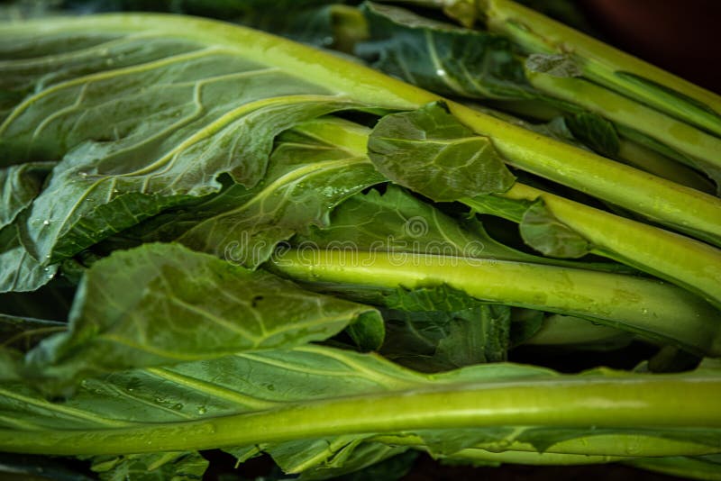 Closeup of collards stock image. Image of fresh, southern 151513859