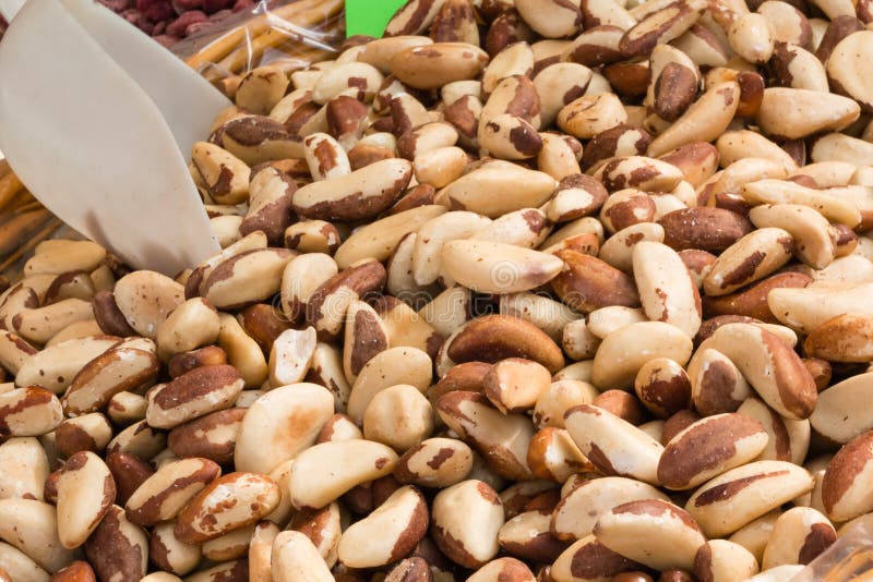 Closeup of Crunchy Brazil Nuts in Wicker Bowl Stock Photo Image of