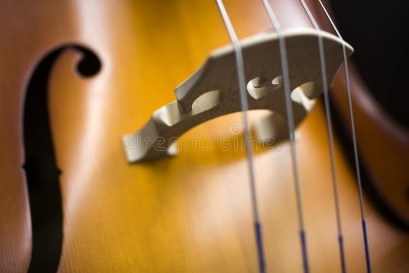 Upright bass stock image. Image of classical, sound 126018841