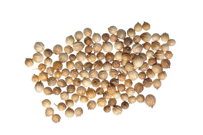 Coriander seeds stock image. Image of parsley, background 30177573