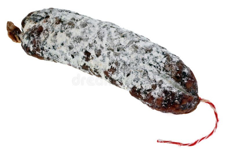 Dry Mountain Sausage in Closeup on White Background Stock Image Image