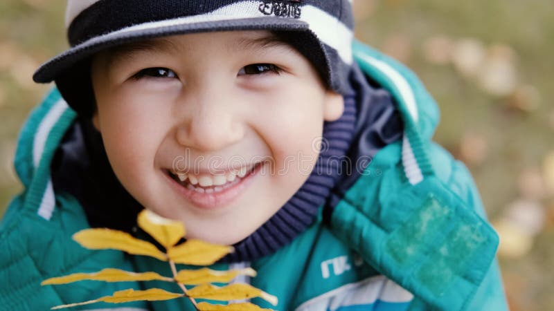 Closeup du visage d'un mignon garçon asiatique tenant dans ses mains une feuille de rowan d'automne clips vidéos