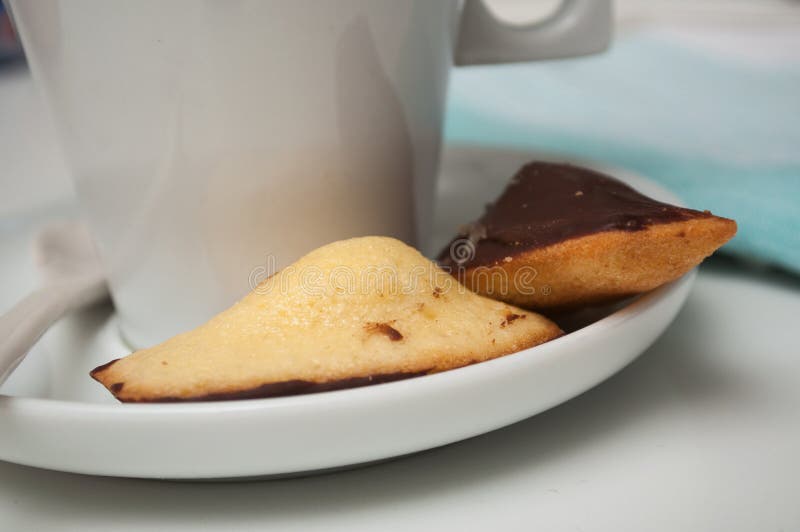 French Chocolate Madeleines on White Background Stock Image Image of