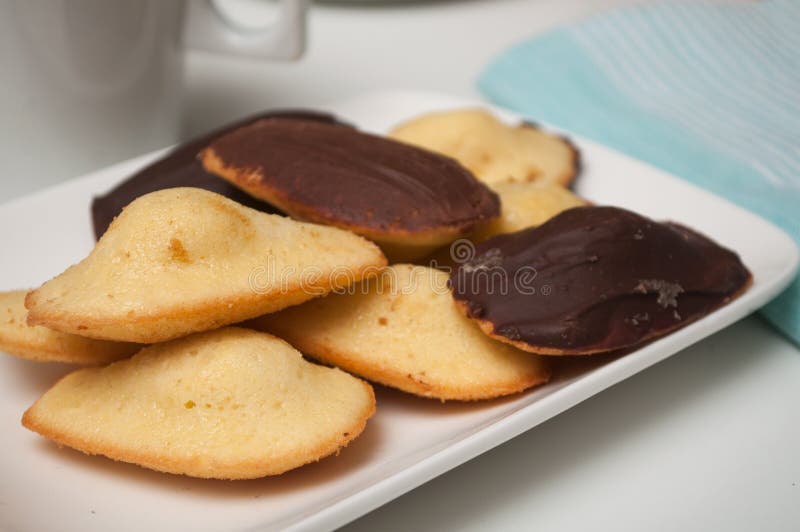 French Chocolate Madeleines on White Background Stock Image Image of