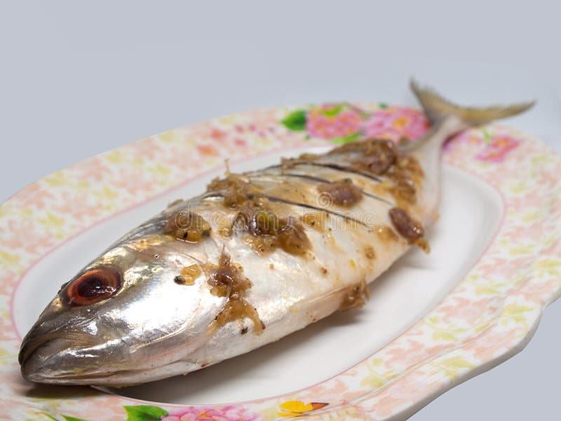 Closeup Fresh Atlantic Mackerel Stock Image Image of horizontal