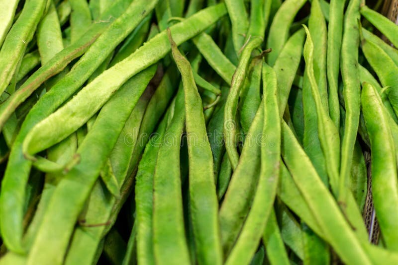 Closeup of Fresh Green Runner Beans Stock Photo - Image of farm, heap ...