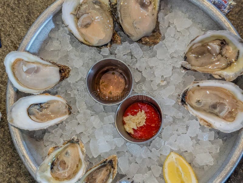 Closeup of fresh oysters on ice with lemon wedges stock photo