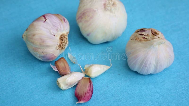 Closeup of garlic on blue rotating table stock footage