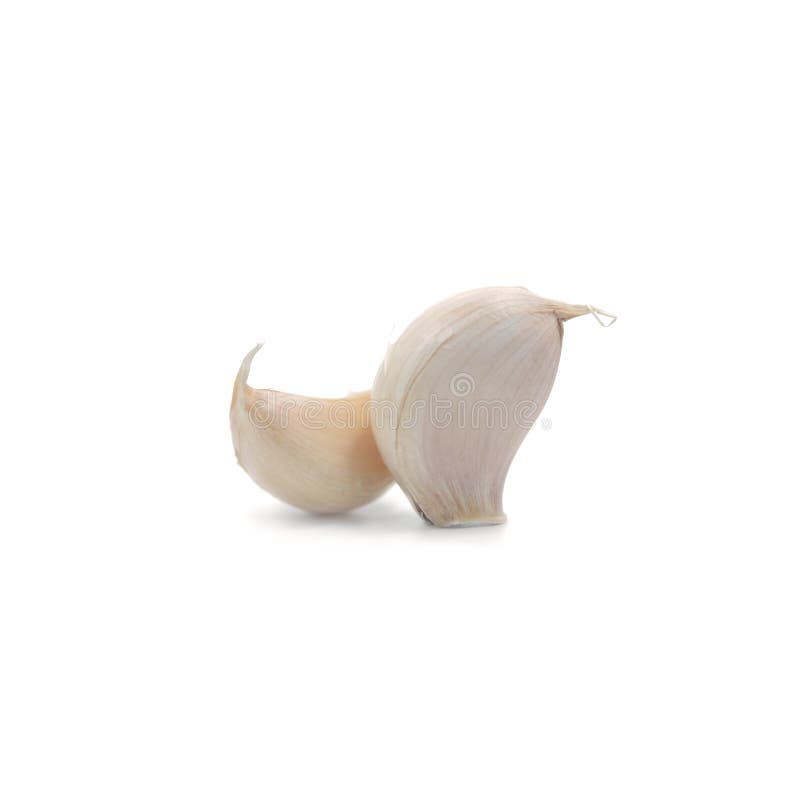 Closeup Garlic ,Herb isolate on white background royalty free stock image