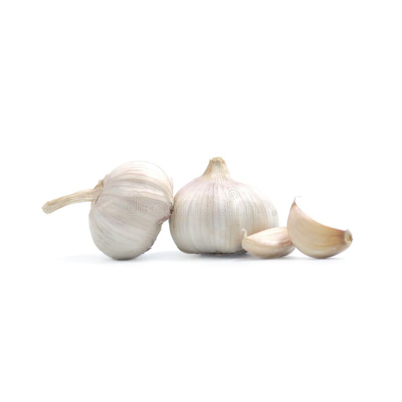 Closeup Garlic ,Herb isolate on white background stock images