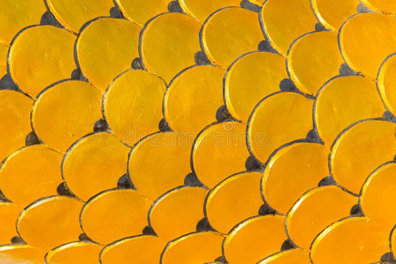 Closeup golden dragon skin stock images Closeup golden dragon skin stock images