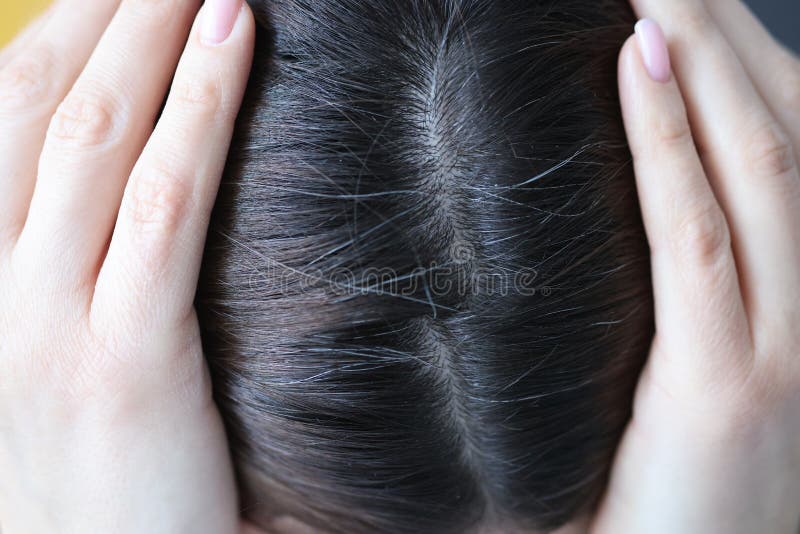 Closeup of Gray Hair on Woman Head Stock Image - Image of hair, dyed:  213427393