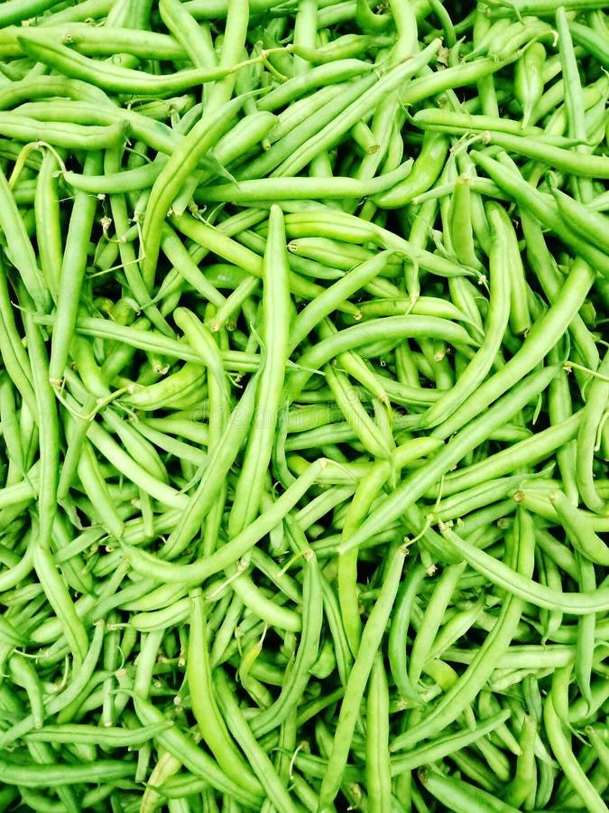 Closeup of Green beans stock photo. Image of cooking 153407092