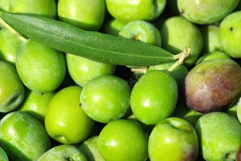 Closeup of green olives.