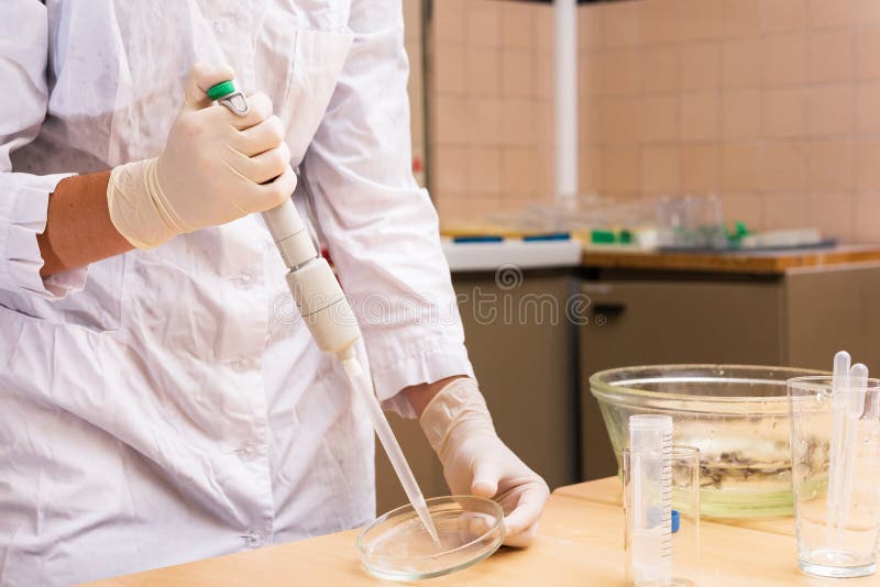 Hand of female scientist who is using micropipette while working with Petri dish. Hands-on experiments in laboratory room. royalty free stock photography Hand of female scientist who is using micropipette while working with Petri dish. Hands-on experiments in laboratory room. royalty free stock photography