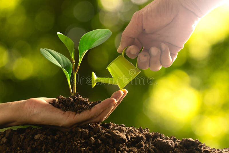 400 Fake Soil Stock Photos - Free & Royalty-Free Stock Photos from  Dreamstime