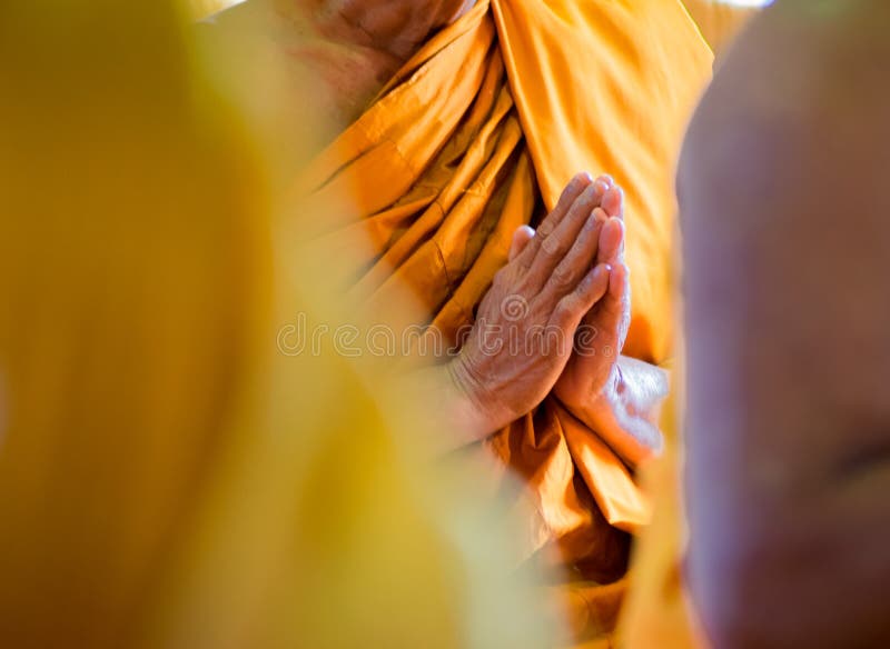 Closeup Hand Pray of Thai Monk stock photography