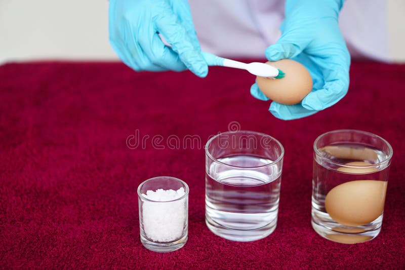 https://thumbs.dreamstime.com/b/closeup-hands-use-old-toothbrush-to-clean-egg-closeup-hands-use-old-toothbrush-to-clean-egg-doing-science-experiment-273337895.jpg