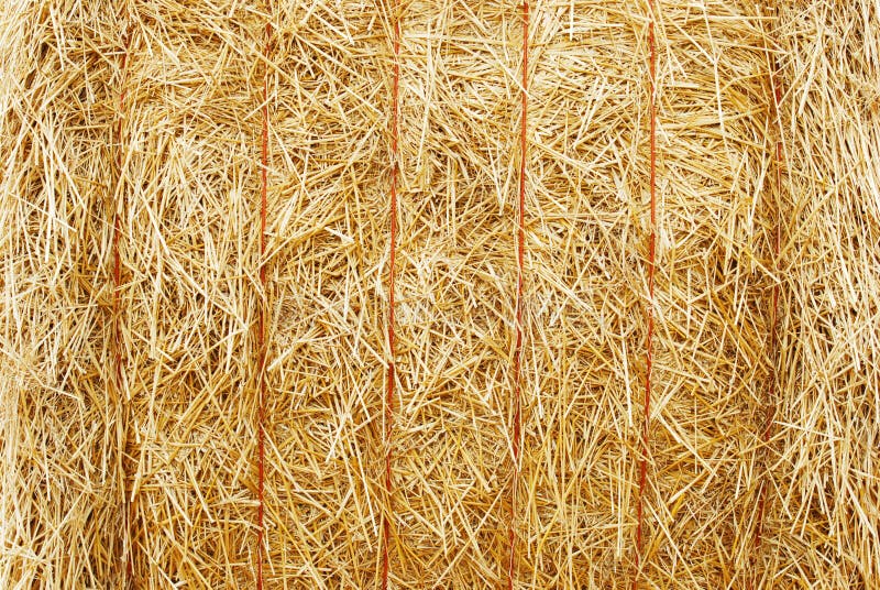 Closeup hay bale