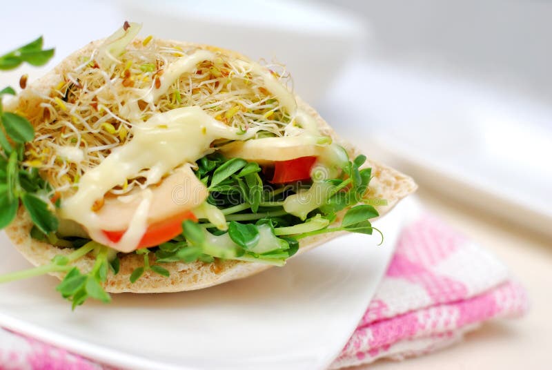 Closeup of healthy pocket salad sandwich