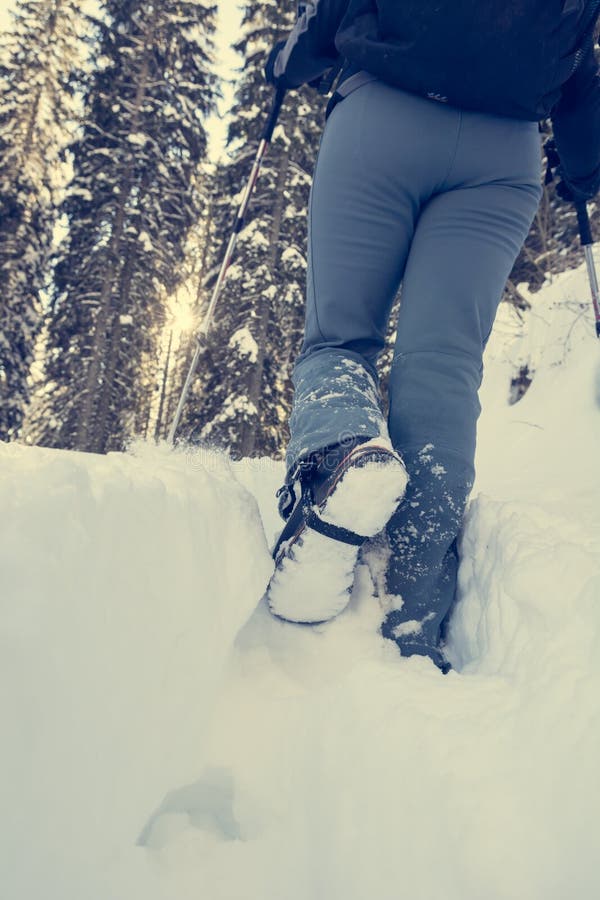 Closeup of Hiking Boots on a Snow Path. Stock Photo Image of pine