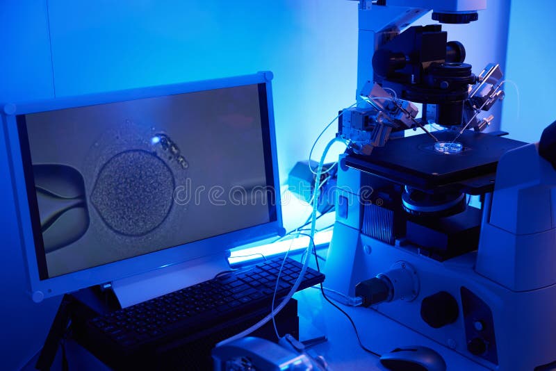 Closeup of ICSI procedure in lab setting displayed on computer monitor. Spermatozoon being injected into cytoplasm of oocyte under powerful microscope equipped with injectors and micromanipulators