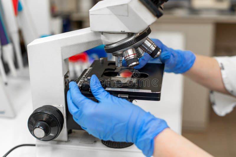 6,064 Blood Sample Microscope Stock Photos Free & RoyaltyFree Stock