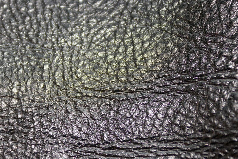 Texture Leather with a Shiny Coating Stock Image Image of strap