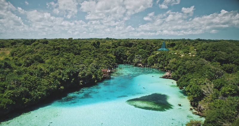 Closeup limpid lake with salt water at exotic green plants. Emerald saltwater serene scene at tropic