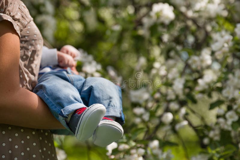 Closeup of little baby in sneakers on the hands of his young mother. Mum with child in the blooming apple garden.