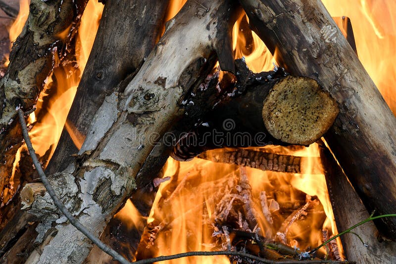 Logs burning in campfire stock image
