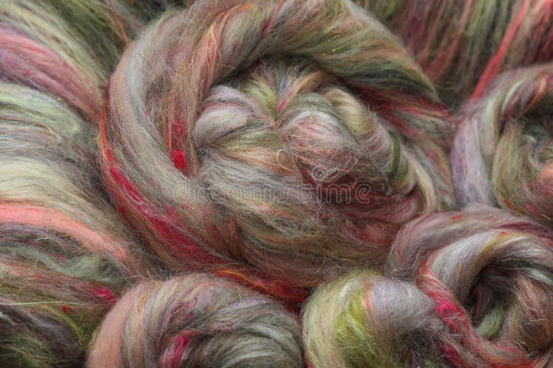 Closeup of lots of beautiful sheep wool fibres rolled up in a roving ready for spinning yarn on a spinning wheel as a hobby. Closeup of lots of beautiful sheep wool fibres rolled up in a roving ready for spinning yarn on a spinning wheel as a hobby