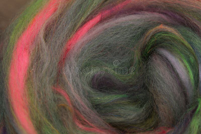 Closeup of lots of beautiful sheep wool fibres rolled up in a roving ready for spinning yarn on a spinning wheel as a hobby. Closeup of lots of beautiful sheep wool fibres rolled up in a roving ready for spinning yarn on a spinning wheel as a hobby