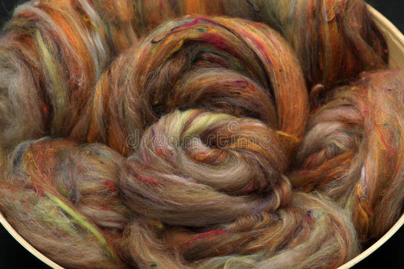 Closeup of lots of beautiful sheep wool fibres rolled up in a roving ready for spinning yarn on a spinning wheel as a hobby