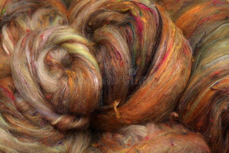 Closeup of lots of beautiful sheep wool fibres rolled up in a roving ready for spinning yarn on a spinning wheel as a hobby