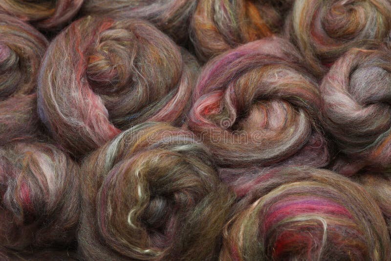 Closeup of lots of beautiful different sheep wool and fibres in a roving ready for spinning yarn on a spinning wheel as a hobby