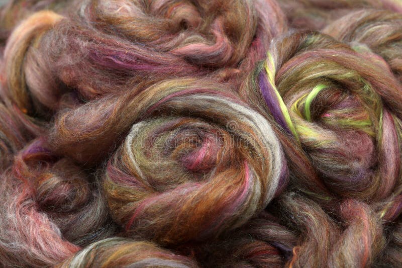 Closeup of lots of beautiful different sheep wool and fibres in a roving ready for spinning yarn on a spinning wheel as a hobby