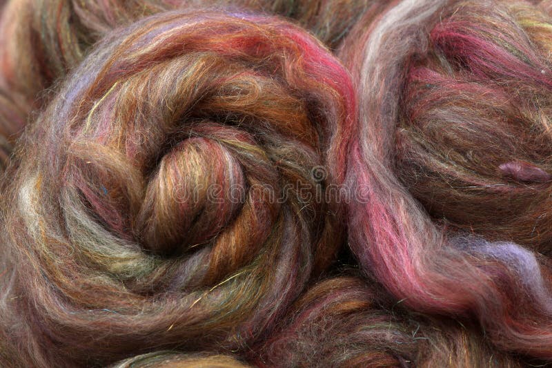 Closeup of lots of beautiful different sheep wool and fibres in a roving ready for spinning yarn on a spinning wheel as a hobby