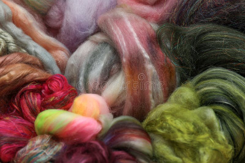 Closeup of lots of beautiful different sheep wool and fibres in a roving ready for spinning yarn on a spinning wheel as a hobby