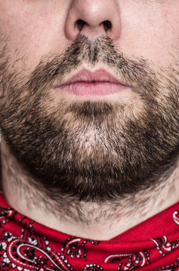 Beard and lips stock photo. Image of lips, sparse, closeup 13100910