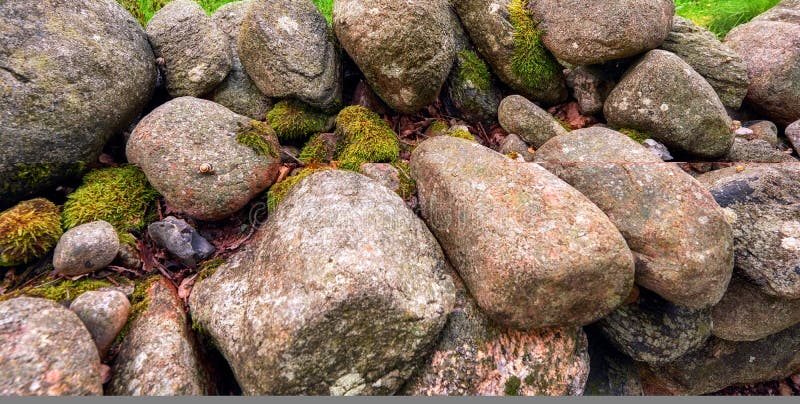 Closeup of many big rocks covered in lichen. Landscape of green moss contrasting on pile of weathered stones in the wild