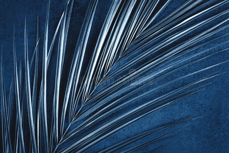 Closeup of Metallic Palm Leaf on Dark Blue Background Stock Photo