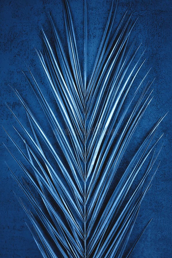 Closeup of Metallic Palm Leaf on Dark Blue Background Stock Photo